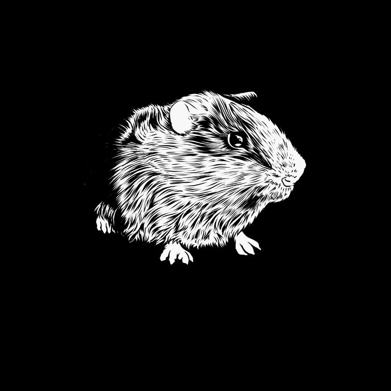 Dessin noir et blanc - Cochon d’Inde