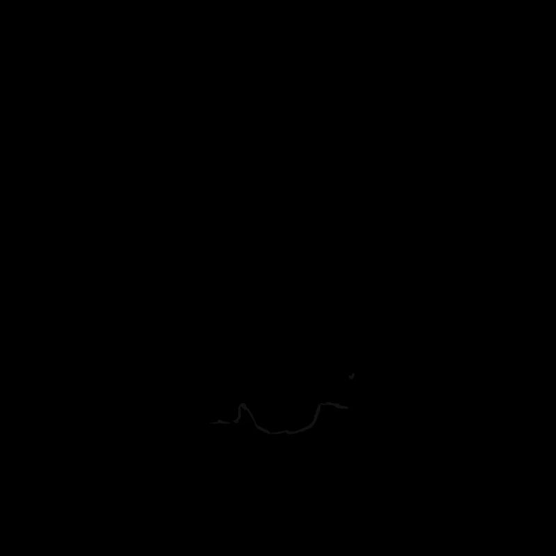 Line Drawing - Rabbit
