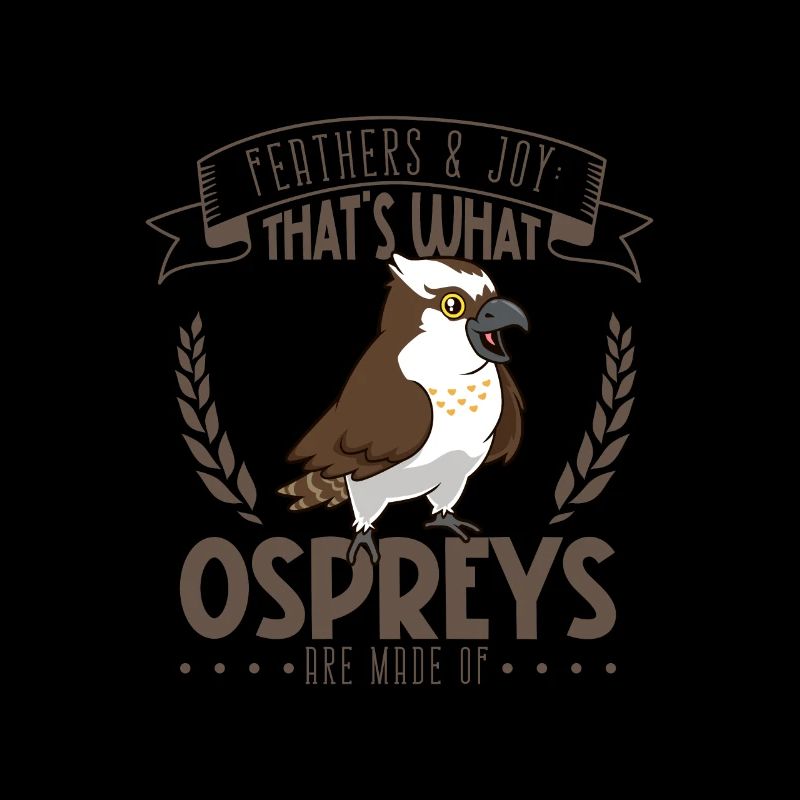Feathers and Joy - Osprey