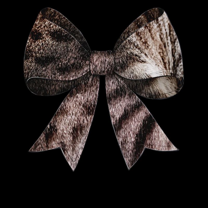 Coquette Bow Tabby Katze Gray Fell Graues
