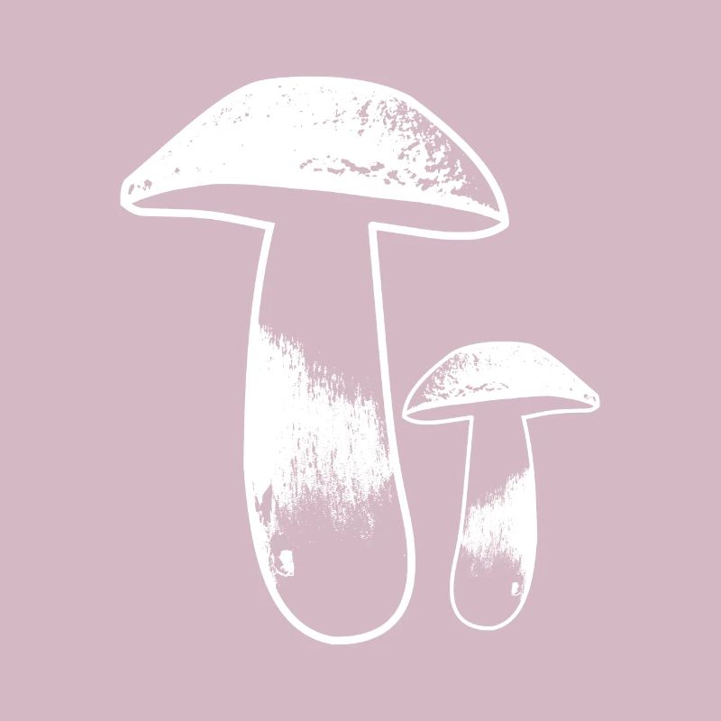 Champignons cèpes