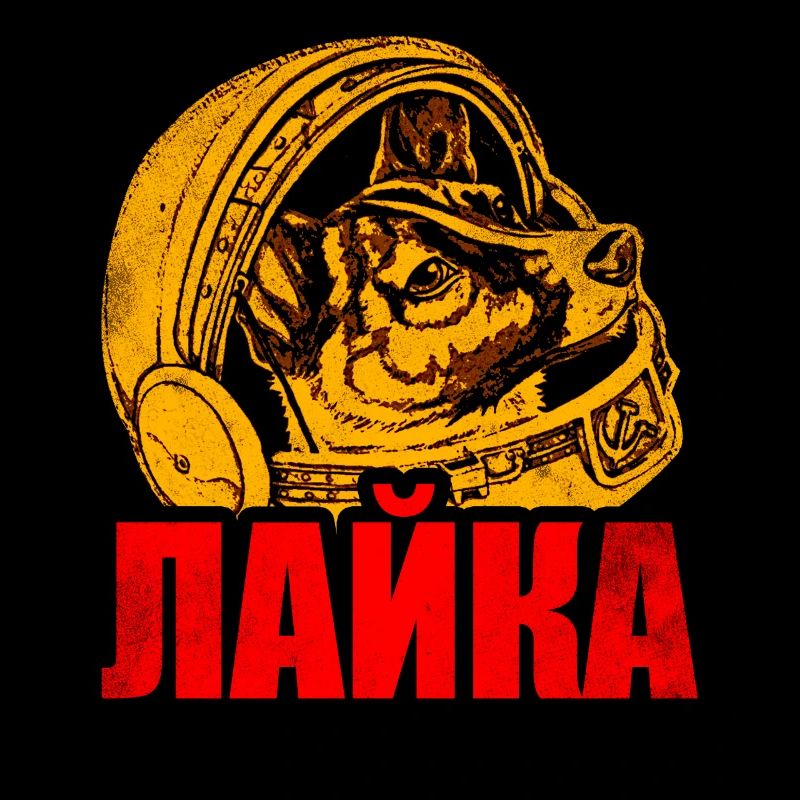 Laika Chien de l’espace