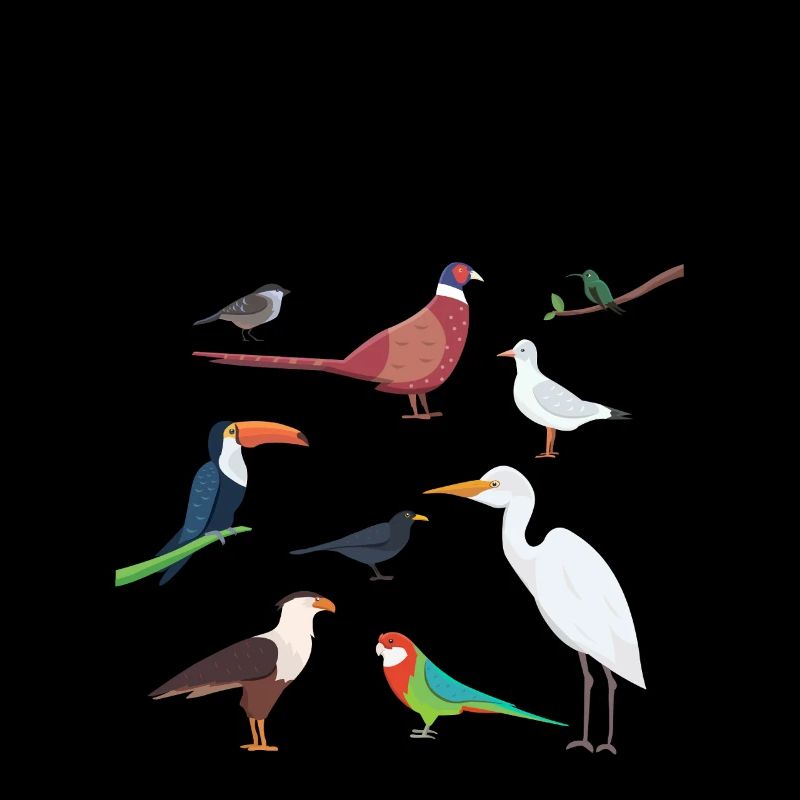 How To Identify A Bird Birdwatching Birdwatcher