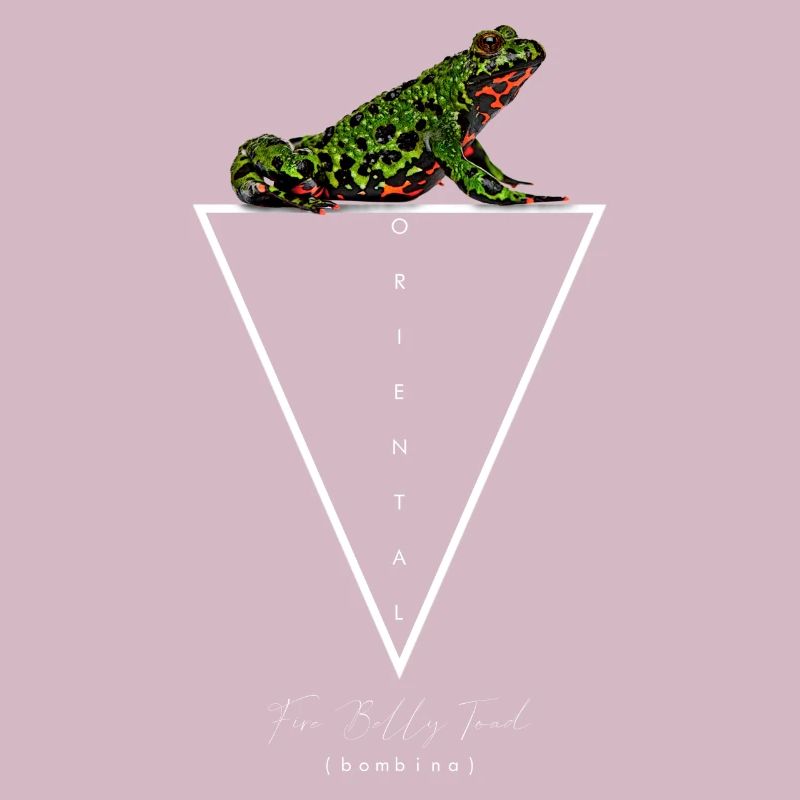 Fire Belly Toad Owner Geometric