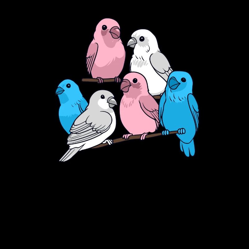 Transgender Pride Birds Perroquets Perruches Trans