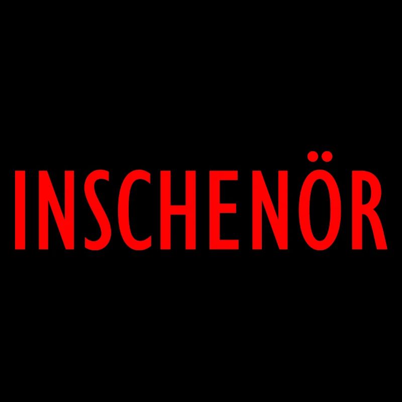 Inschenör Ingenieur Bachelor Master Diplom Student