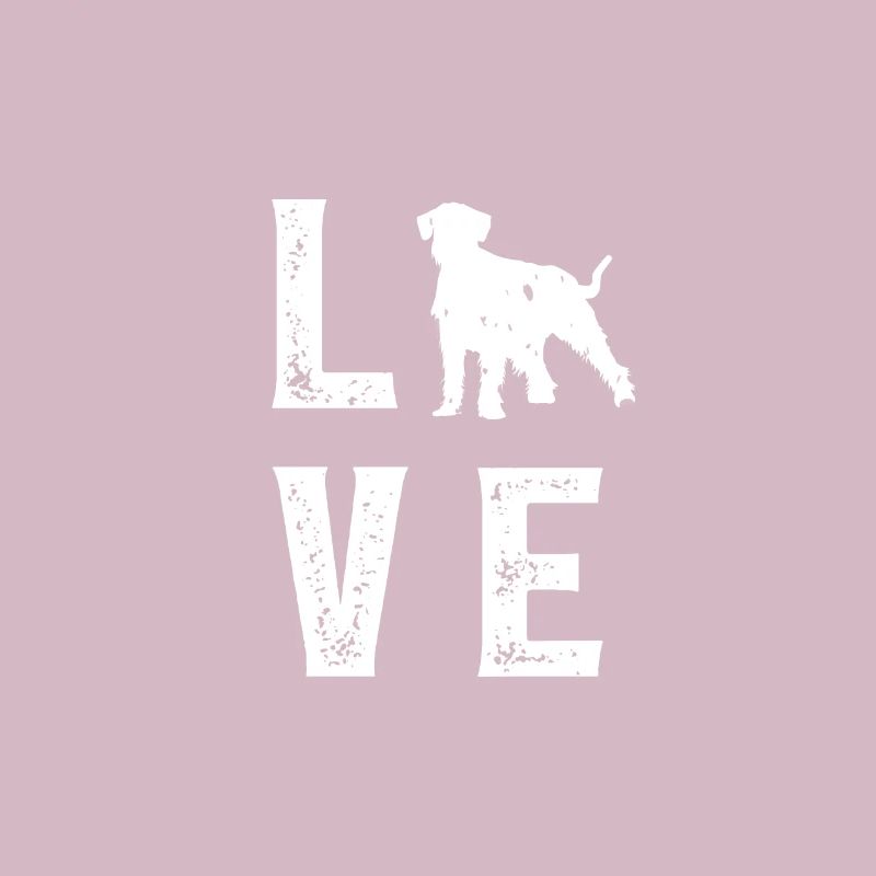 Schnauzer géant Amour