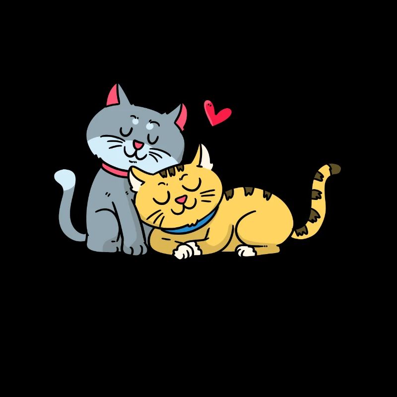 Chatons aimants