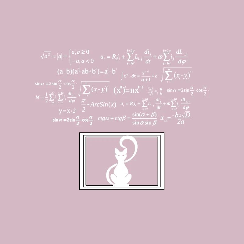 Physics Phyker Cat Quantum Physics