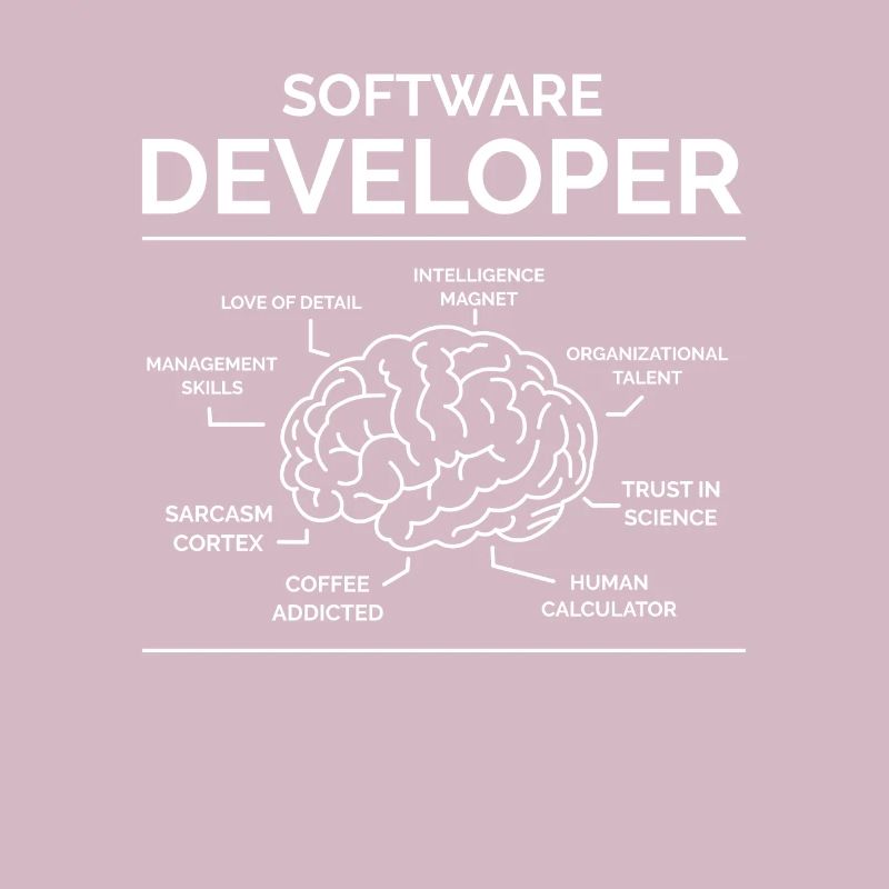 Software Entwickler