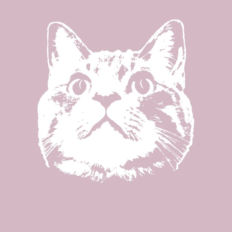 Katze