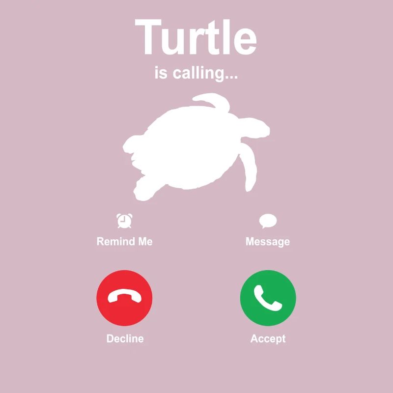 turtle