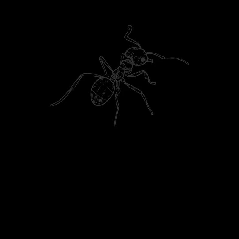 ant, crawling insects, social animals