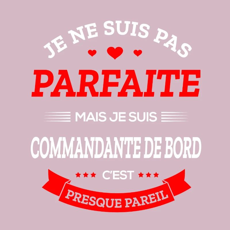 COMMANDANTE DE BORD PARFAITE