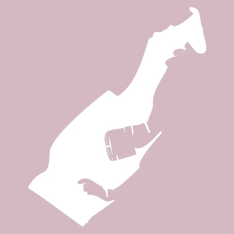 Monaco map flag