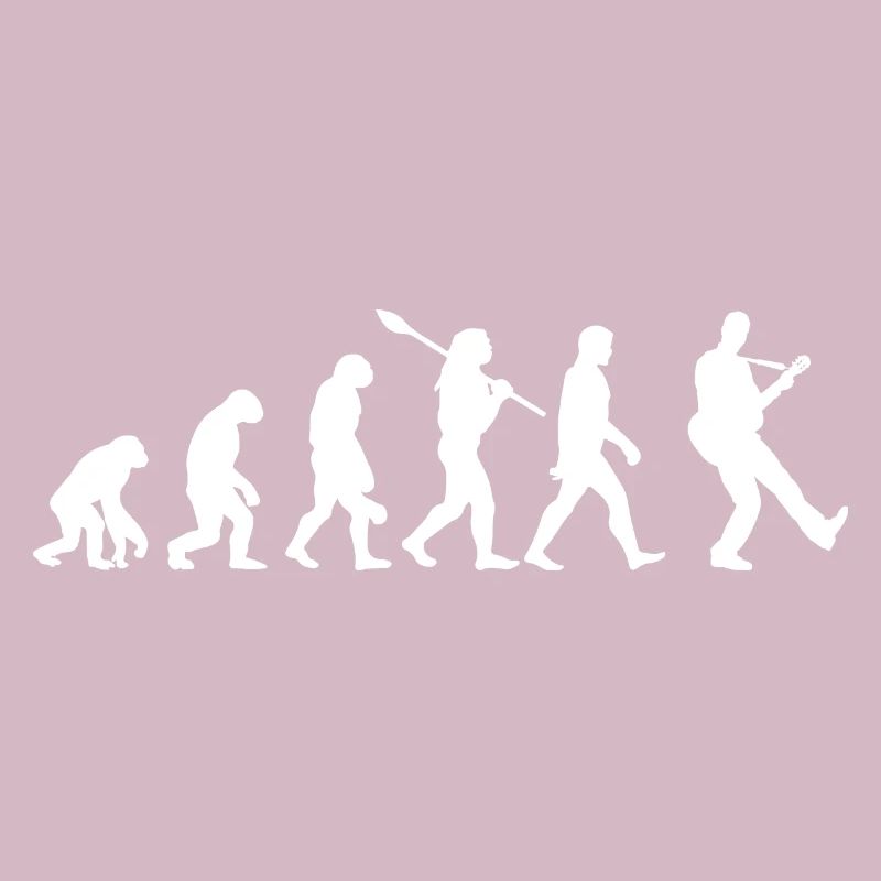 Guitare évolution