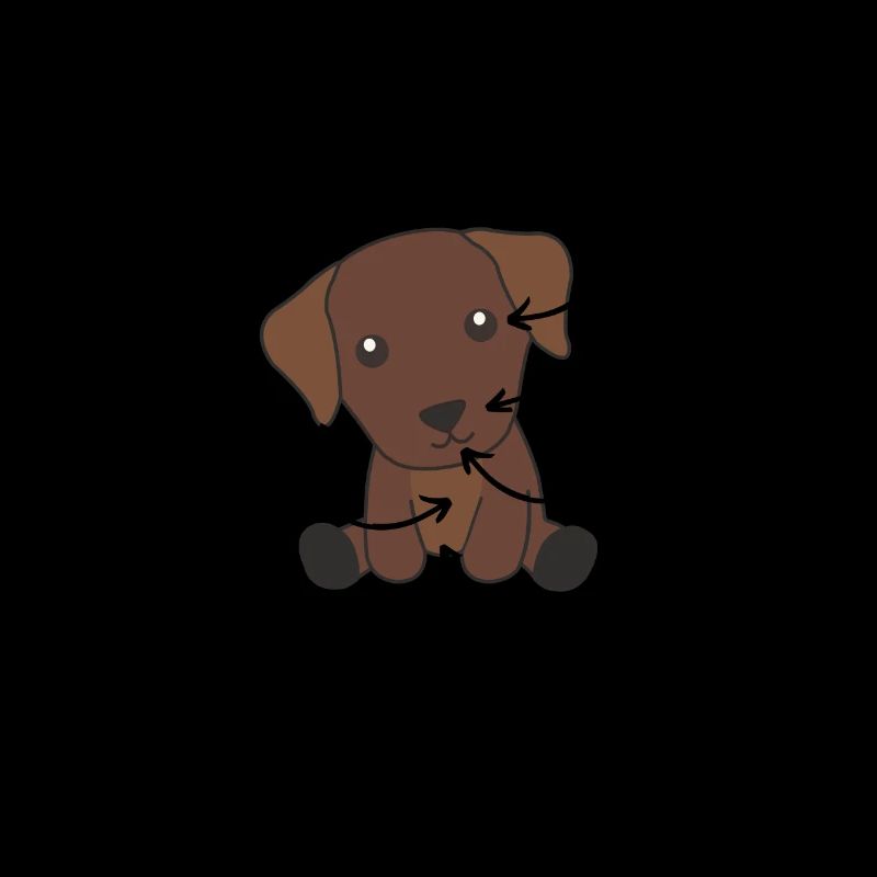 Anatomie eines Labradors Retriever süße Hunde