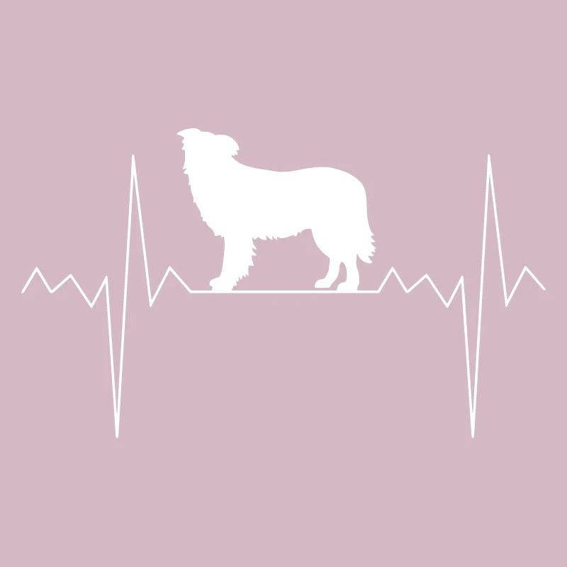 Herzschlag Herzfrequenz Border Collie