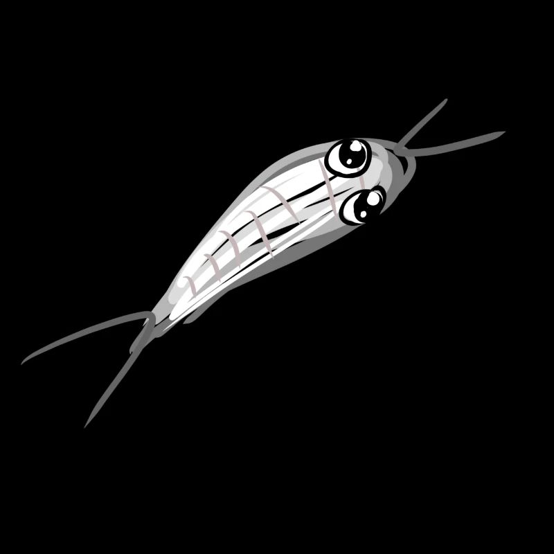 Insecte animal