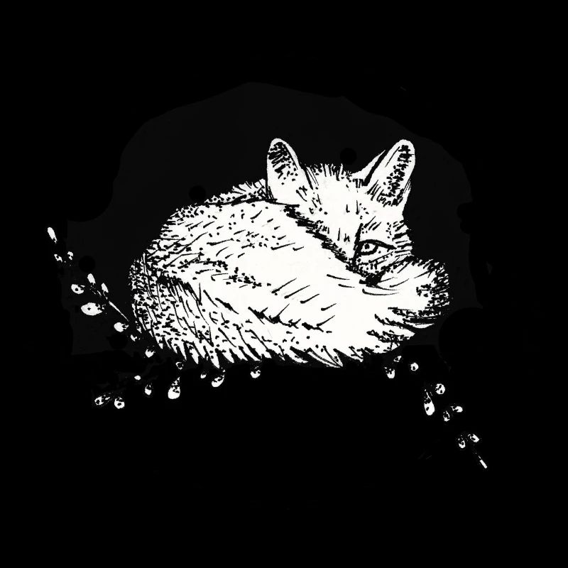 Drawing / Calligraphy - Fox (rolled up)