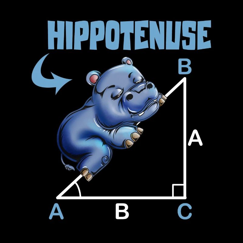 Mathe Hippotenuse Winkelfunktion Hypotenuse Hippo