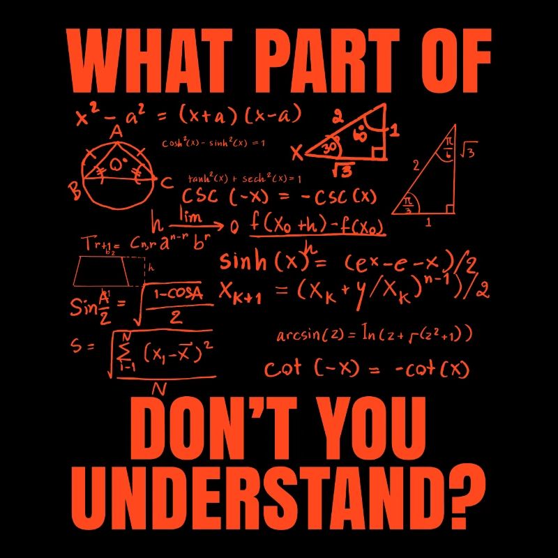 Mathematician math gift Funny saying