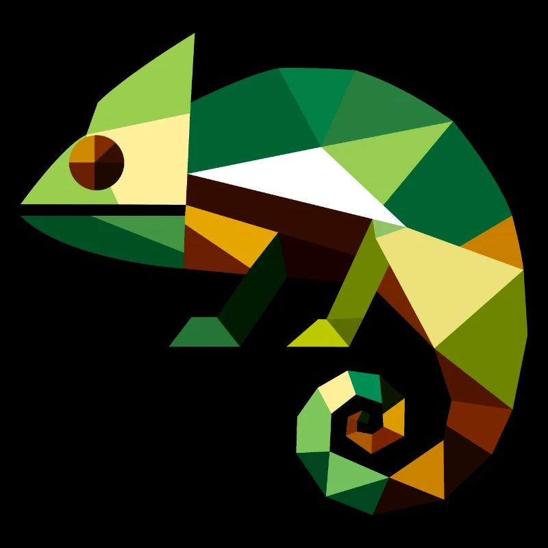 Geometric Chameleon