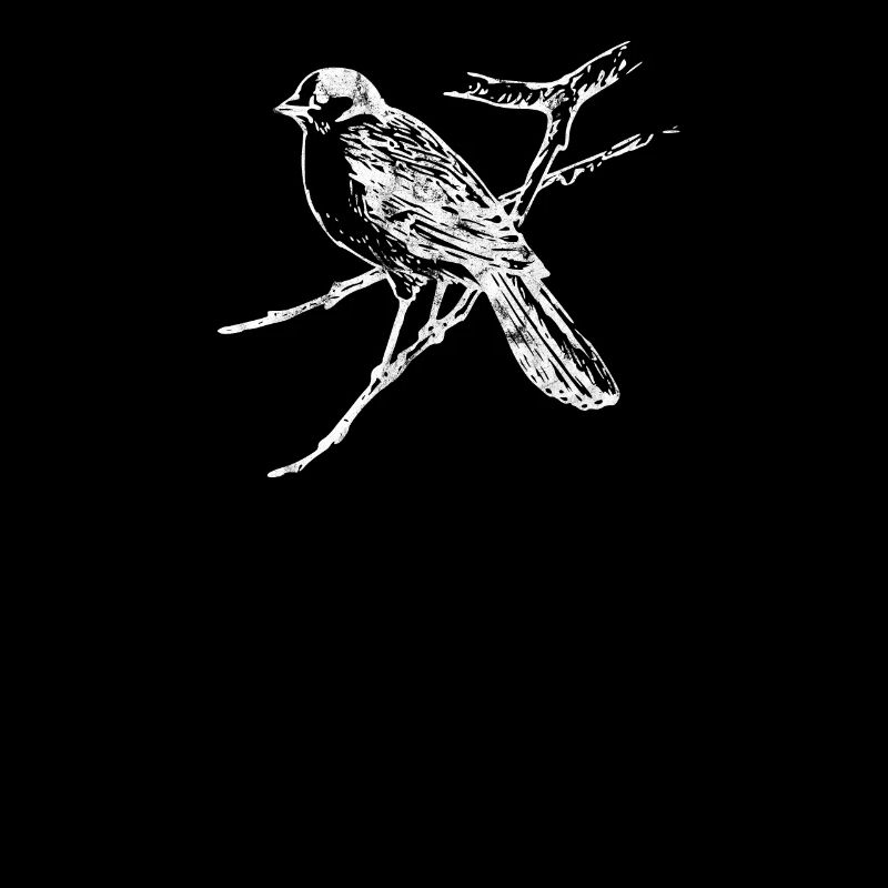 uccello