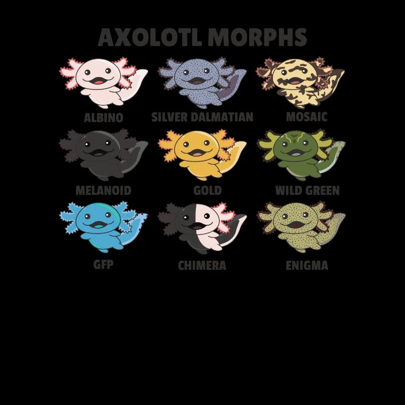 Axolotls du monde animaux doux Espèces d’Axolotl