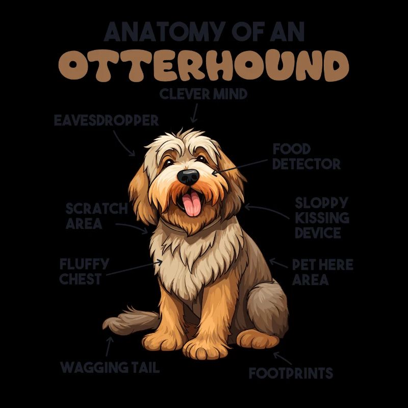 Explication du chien Anatomie d’un lévrier