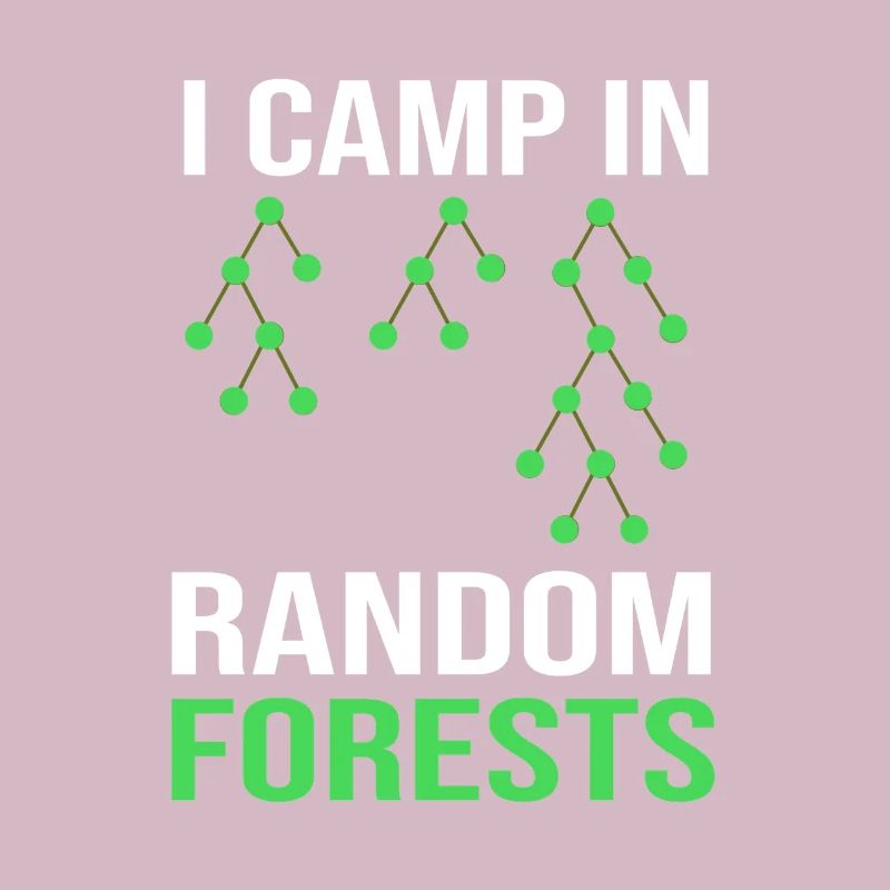 Programmierer Coder GPT