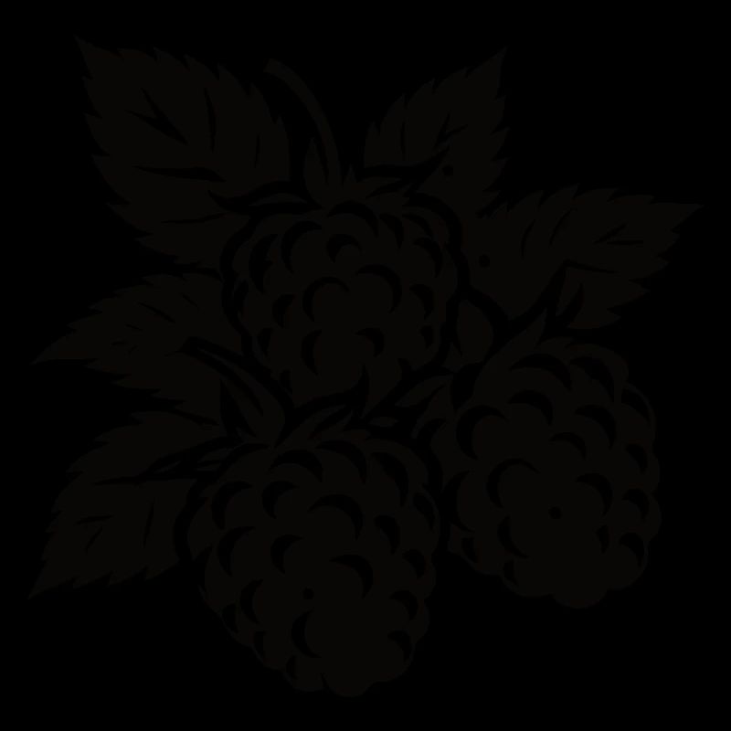 Simple blackberry design – natural elegance