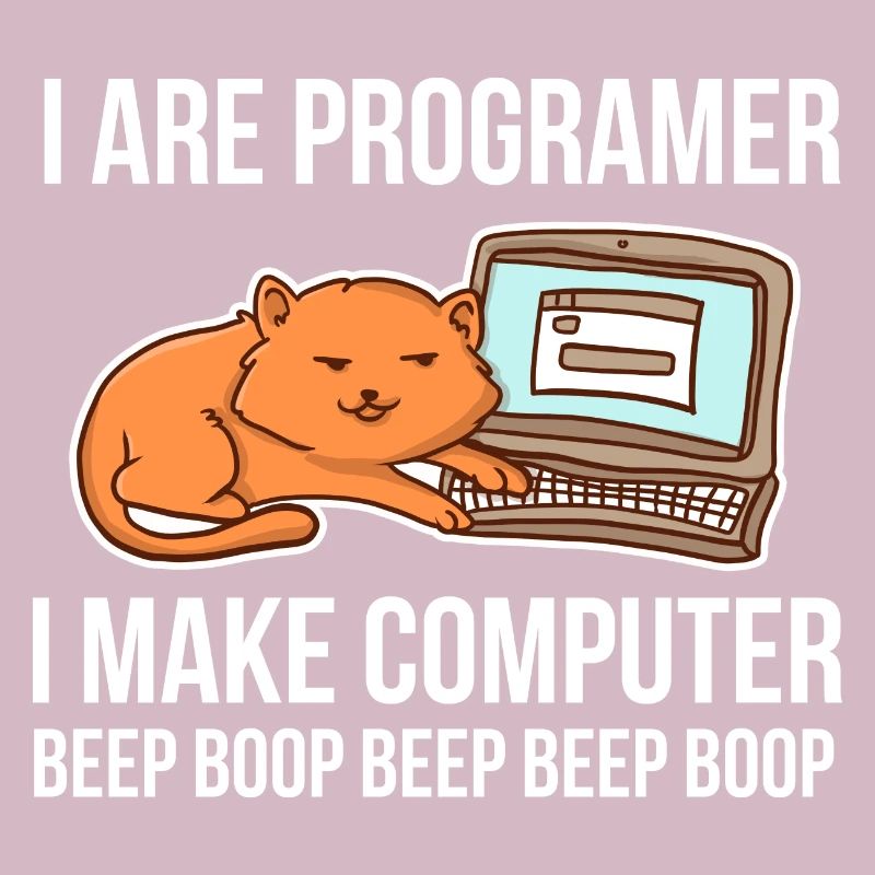 Programmierer-Chat-Humor für Coder und