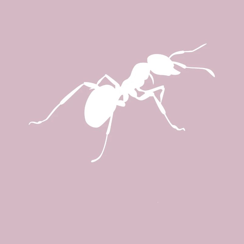 Fourmis