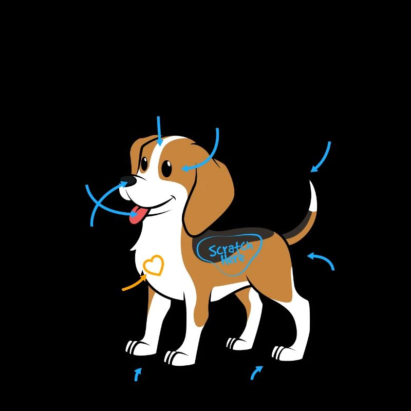 Anatomie Eines Beagle