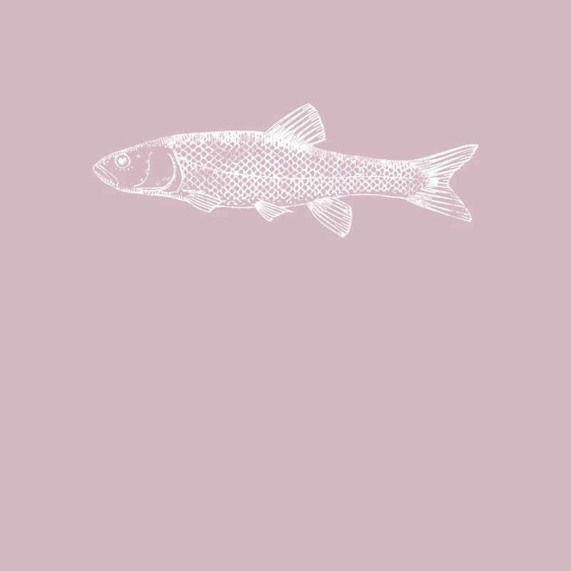 poisson