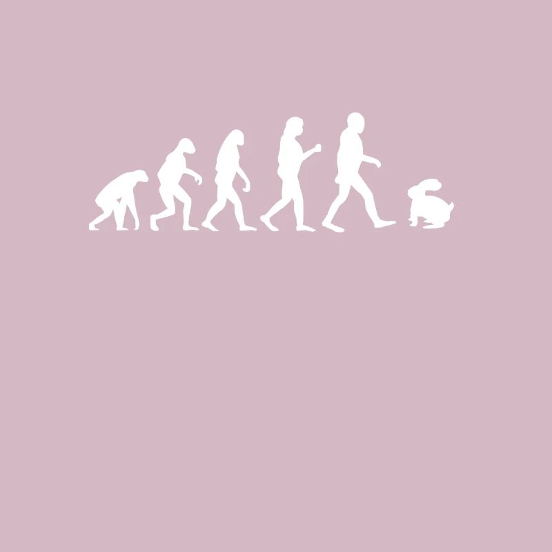 Rabbit evolution funny bunny