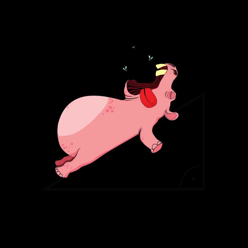 Hippopotamus hypotenuse math Funny