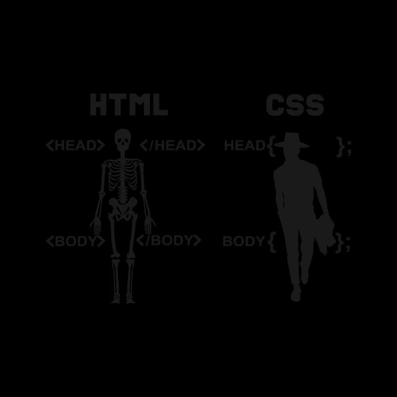 HTML vs CSS Programmiersprache