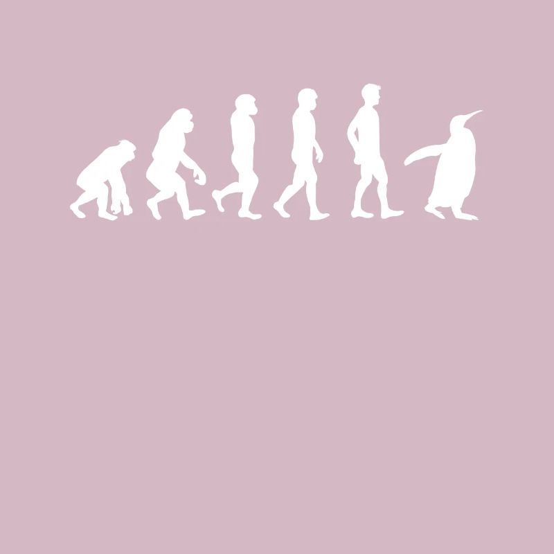 Evolution Pinguin T-Shirt Geschenk