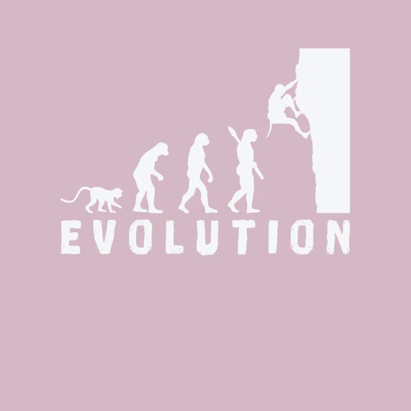 Escalade Bouldern Evolution