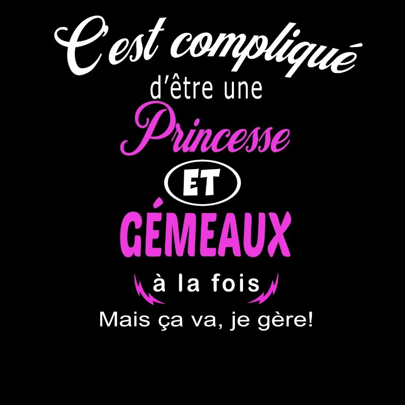 c'est compliqué princesse et gémeaux