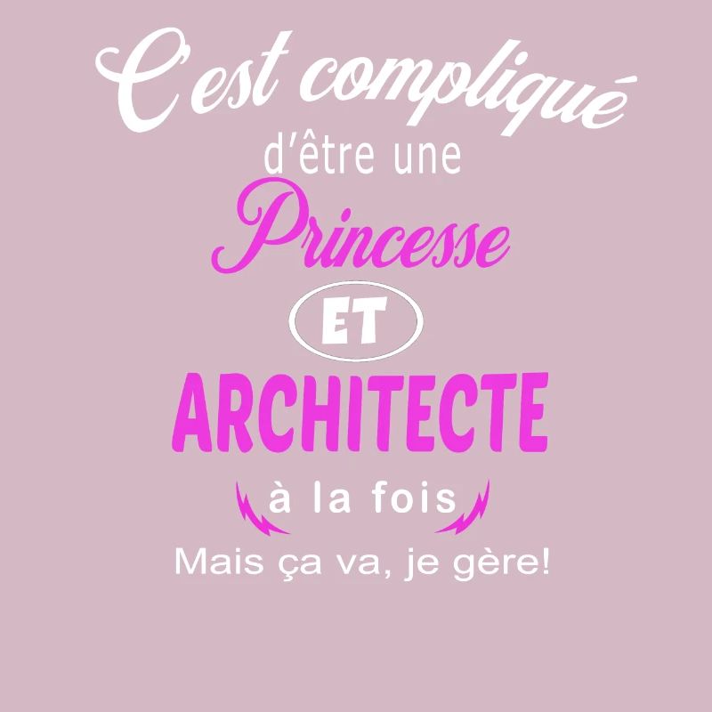 c'est compliqué princesse et architecte