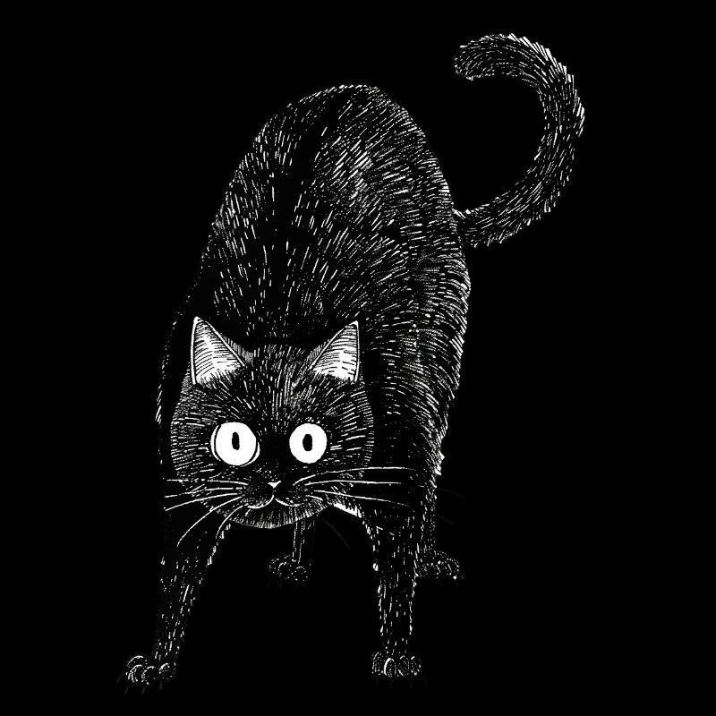 Schwarze Katze
