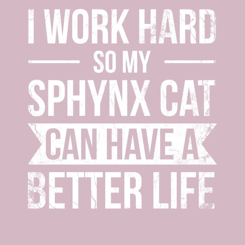 I work hard to make my Sphynx cat a