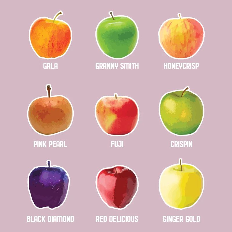 Apple Varieties Different Apples Fruit Apple