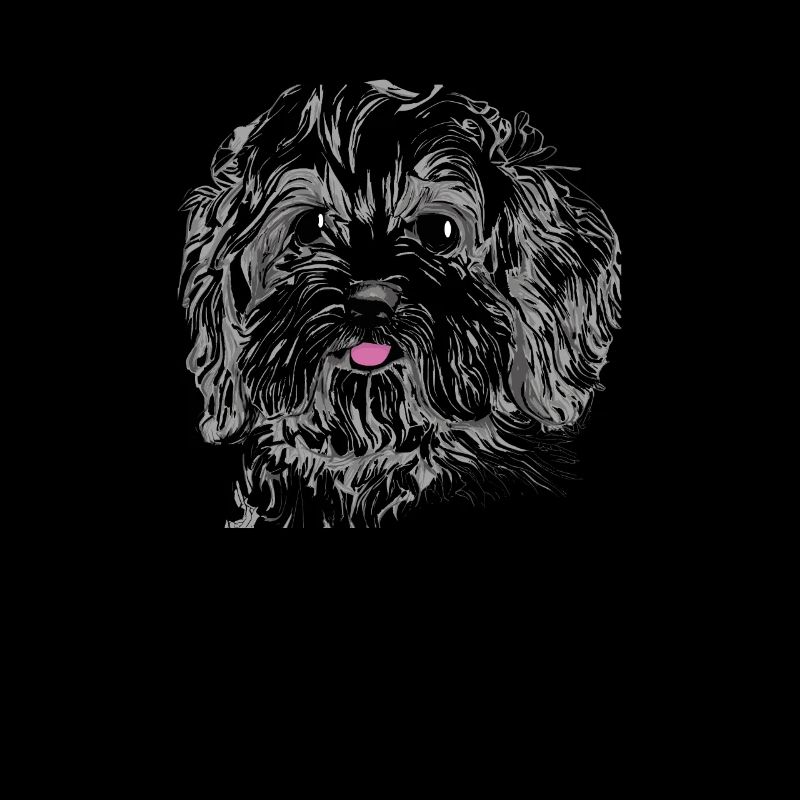 Cavapoo Papa, Cavapoo