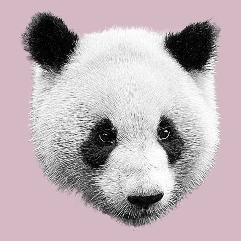 Panda Black White