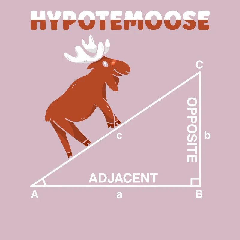 Hypotemoose Professeur de mathématiques Mathématicien Math