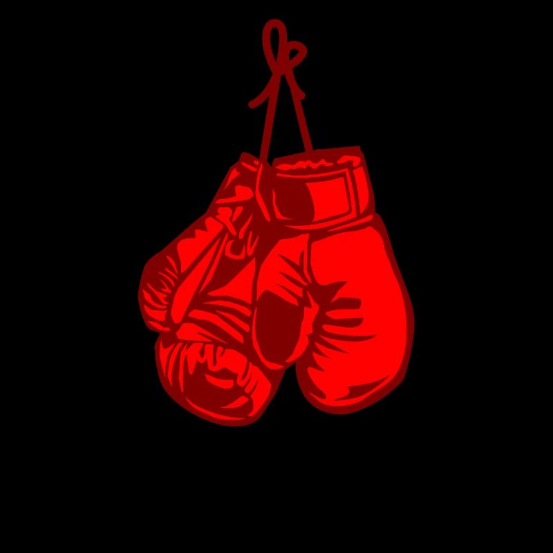 Boxe Boxer Gants De Boxe Cadeau